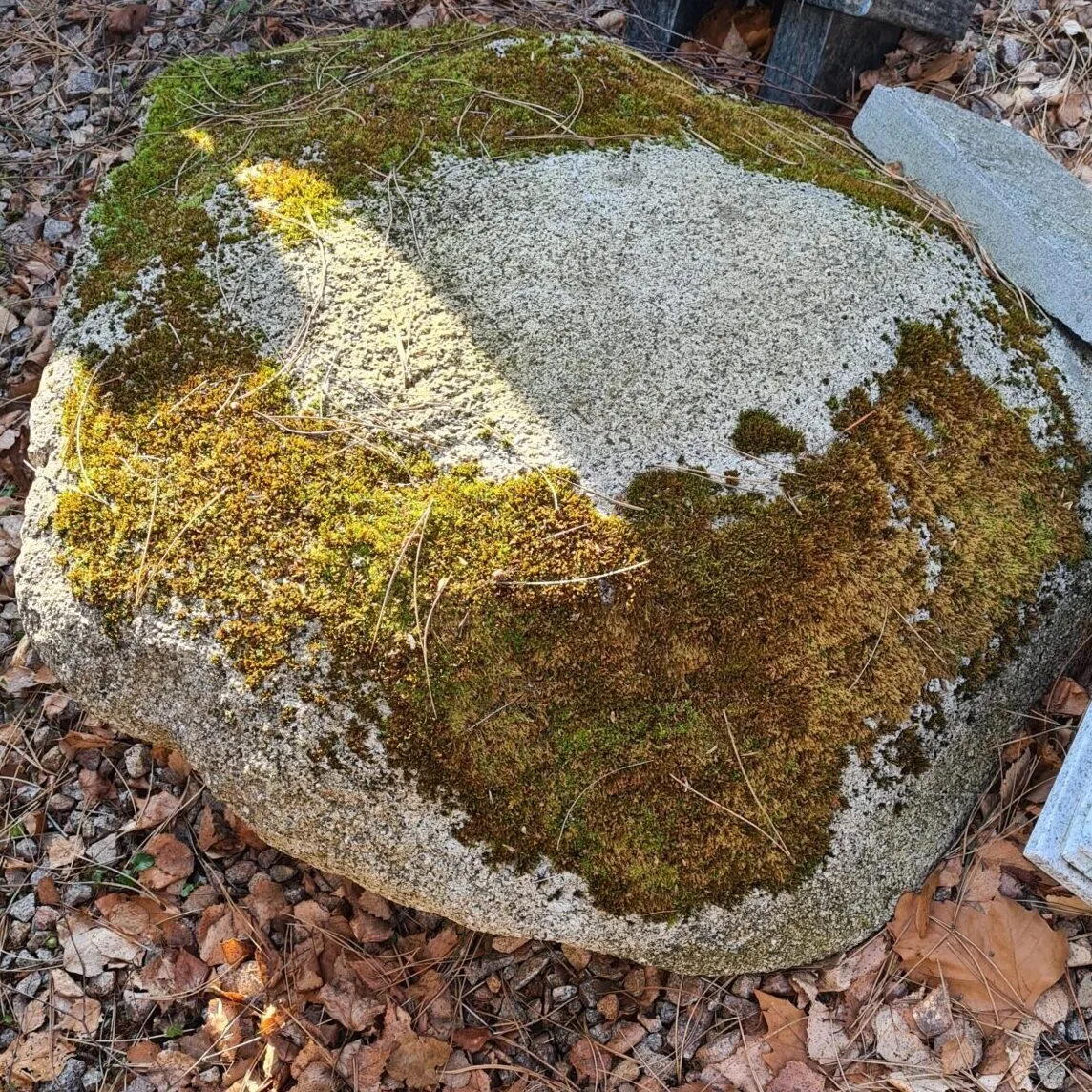 738