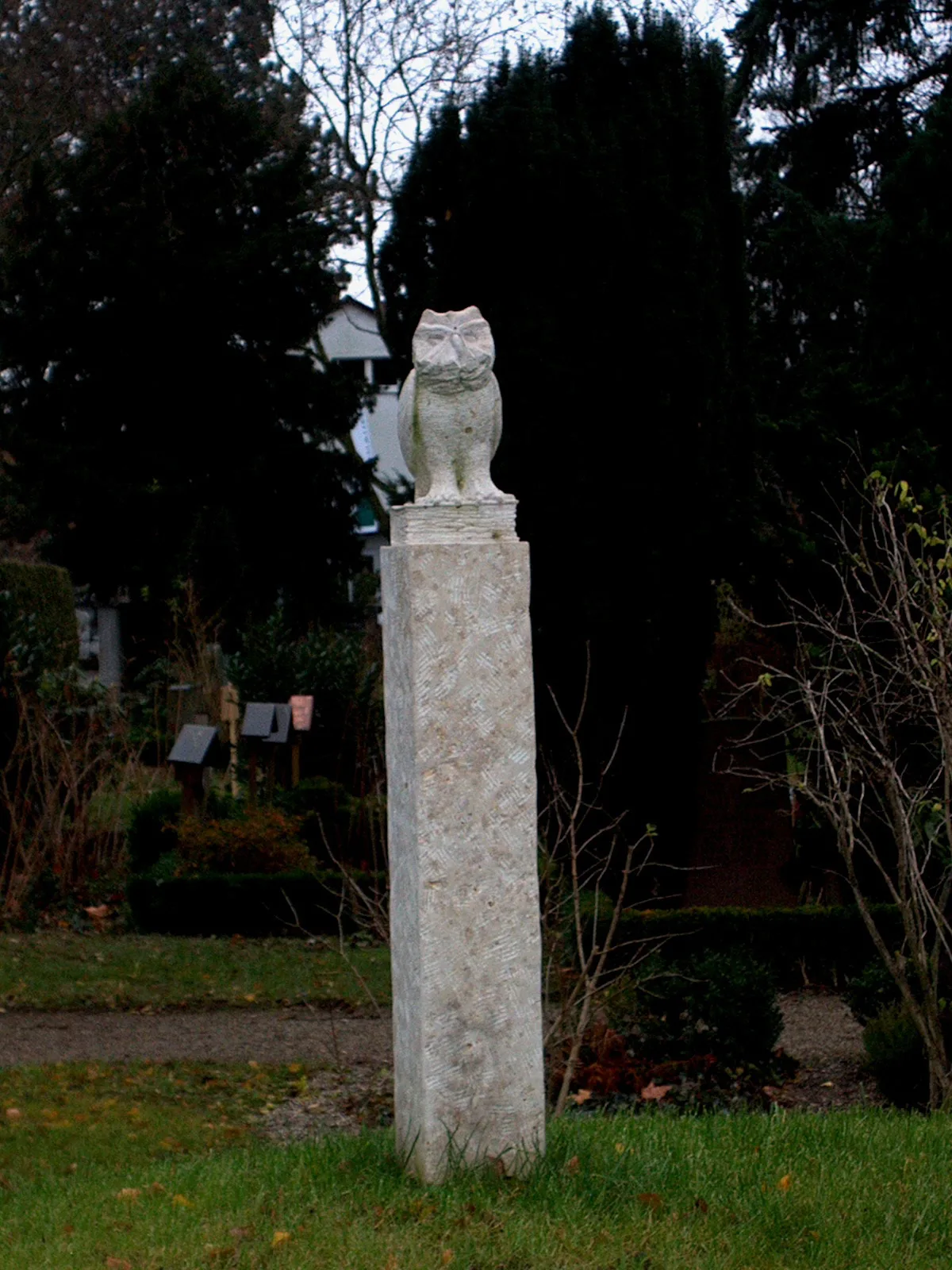 597 Comblienchien
