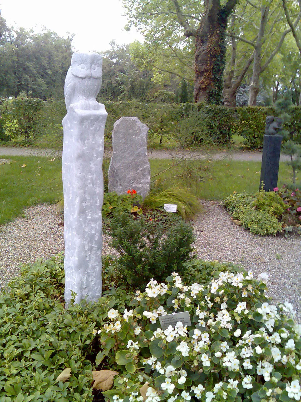 Bilder f kunden 19
