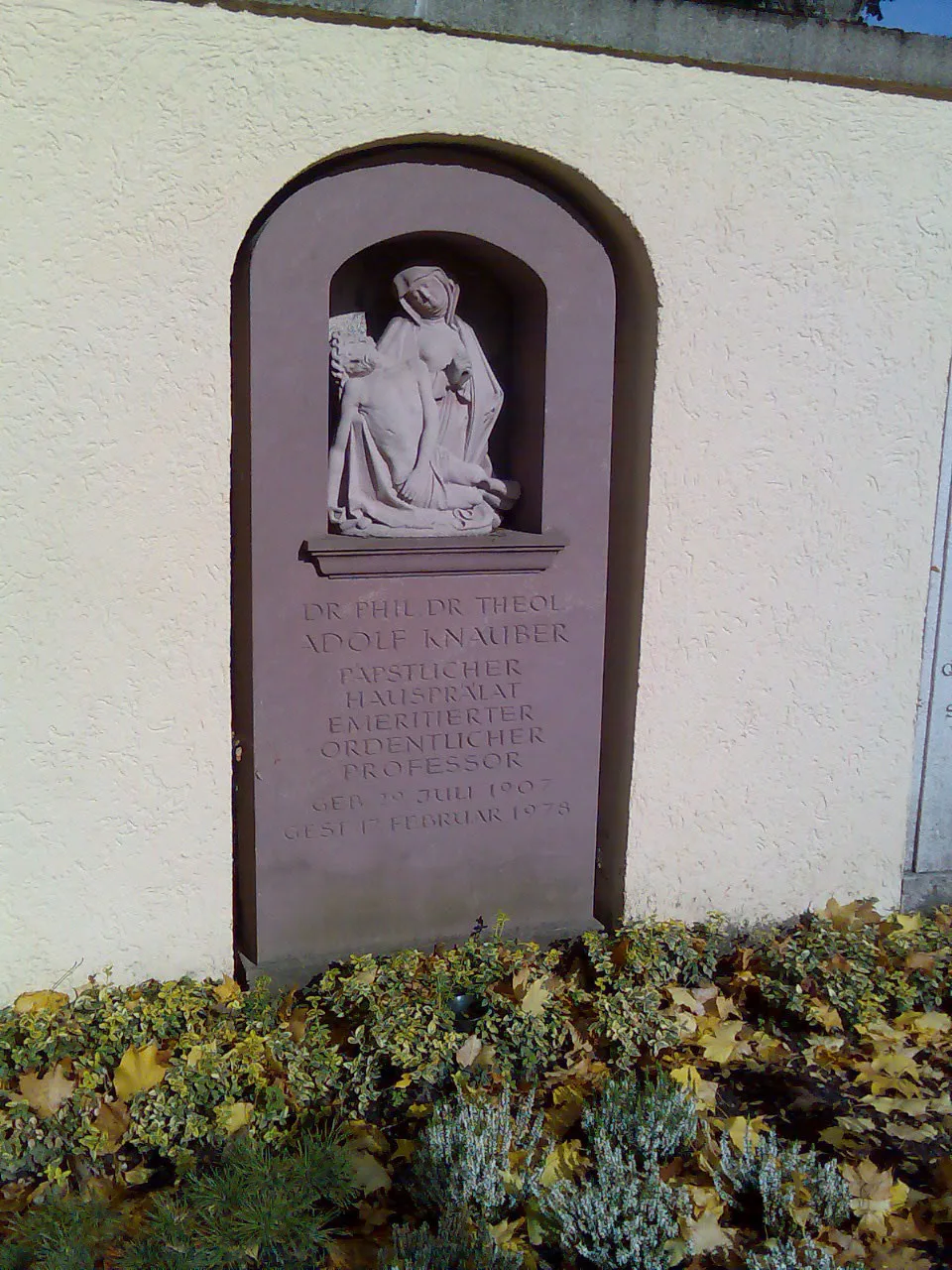 Bilder f kunden 64
