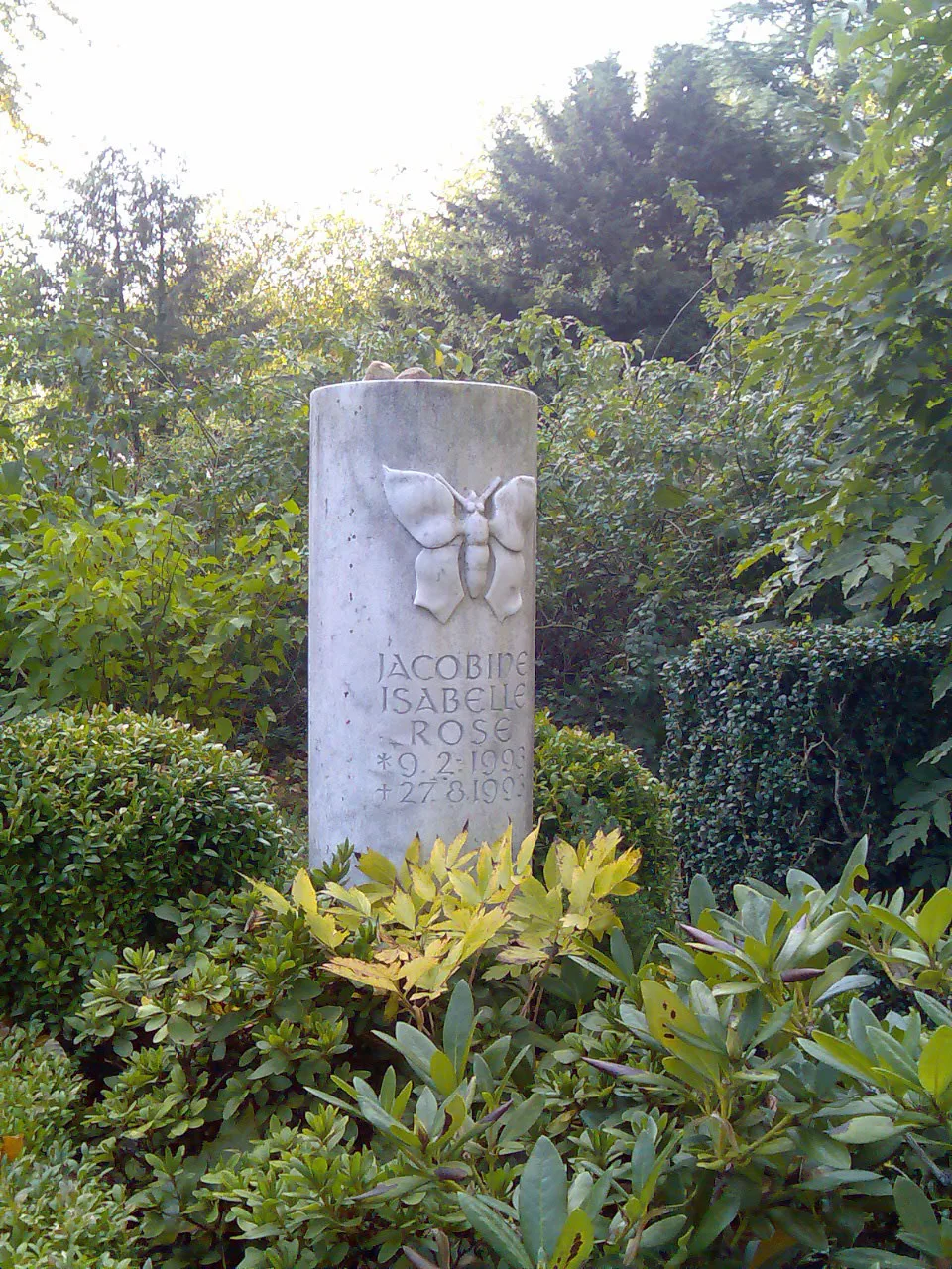 Bilder f kunden 65