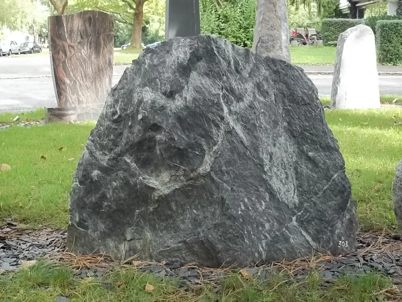331