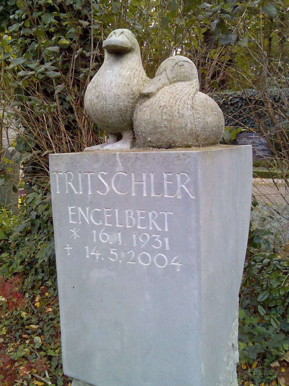 Bilder f kunden 79