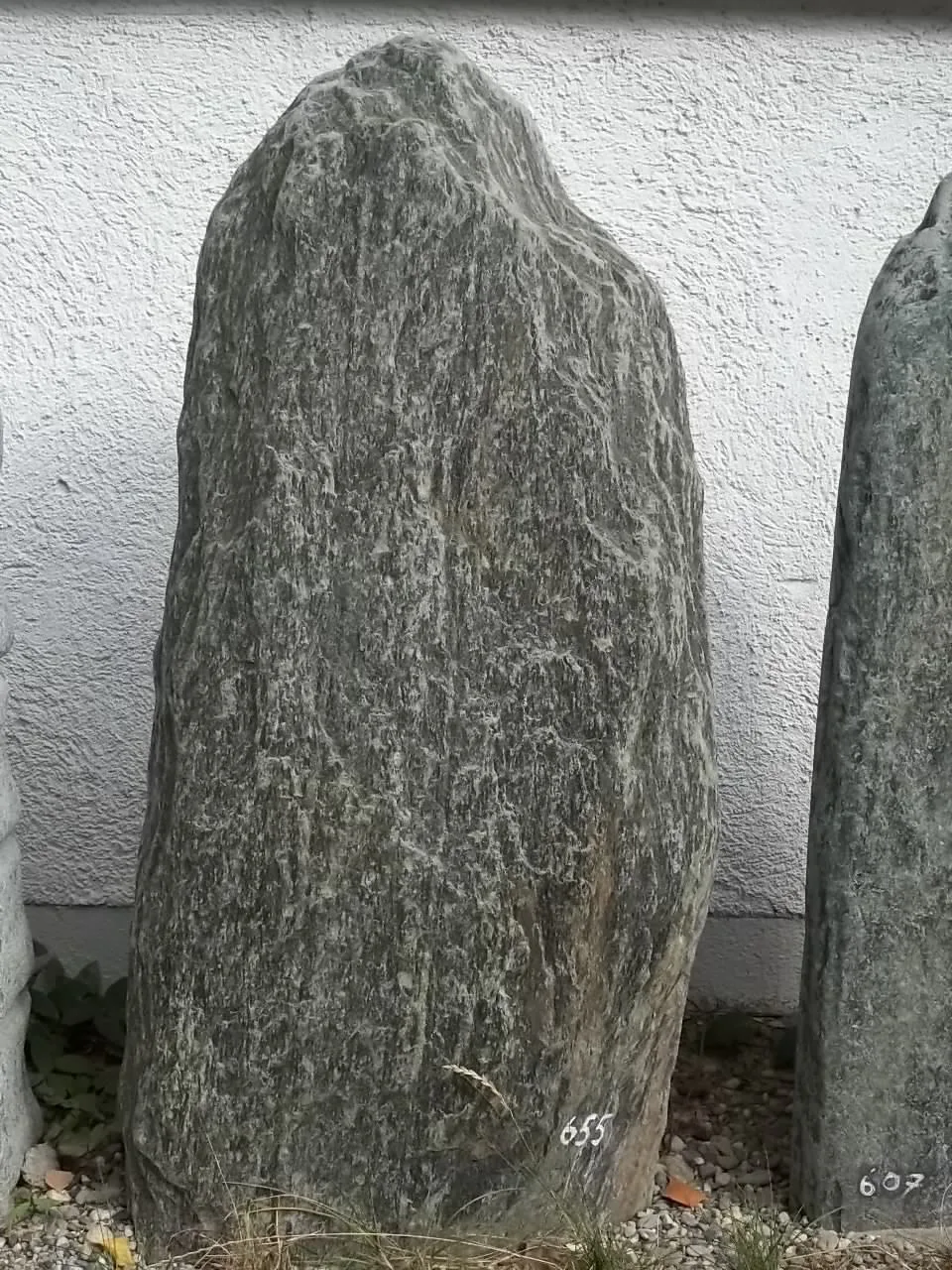 655