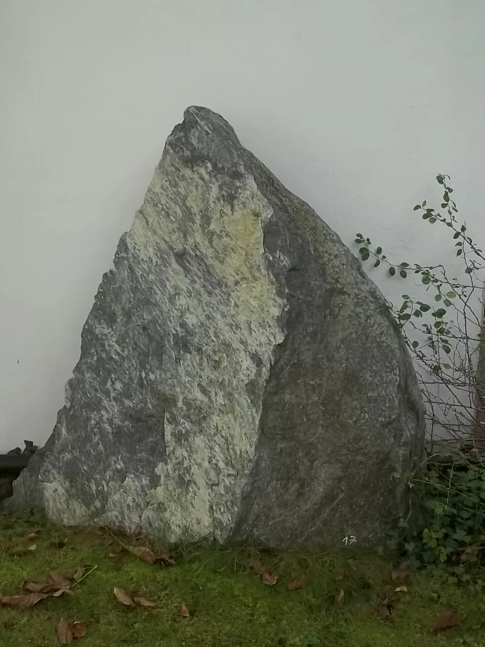 17
