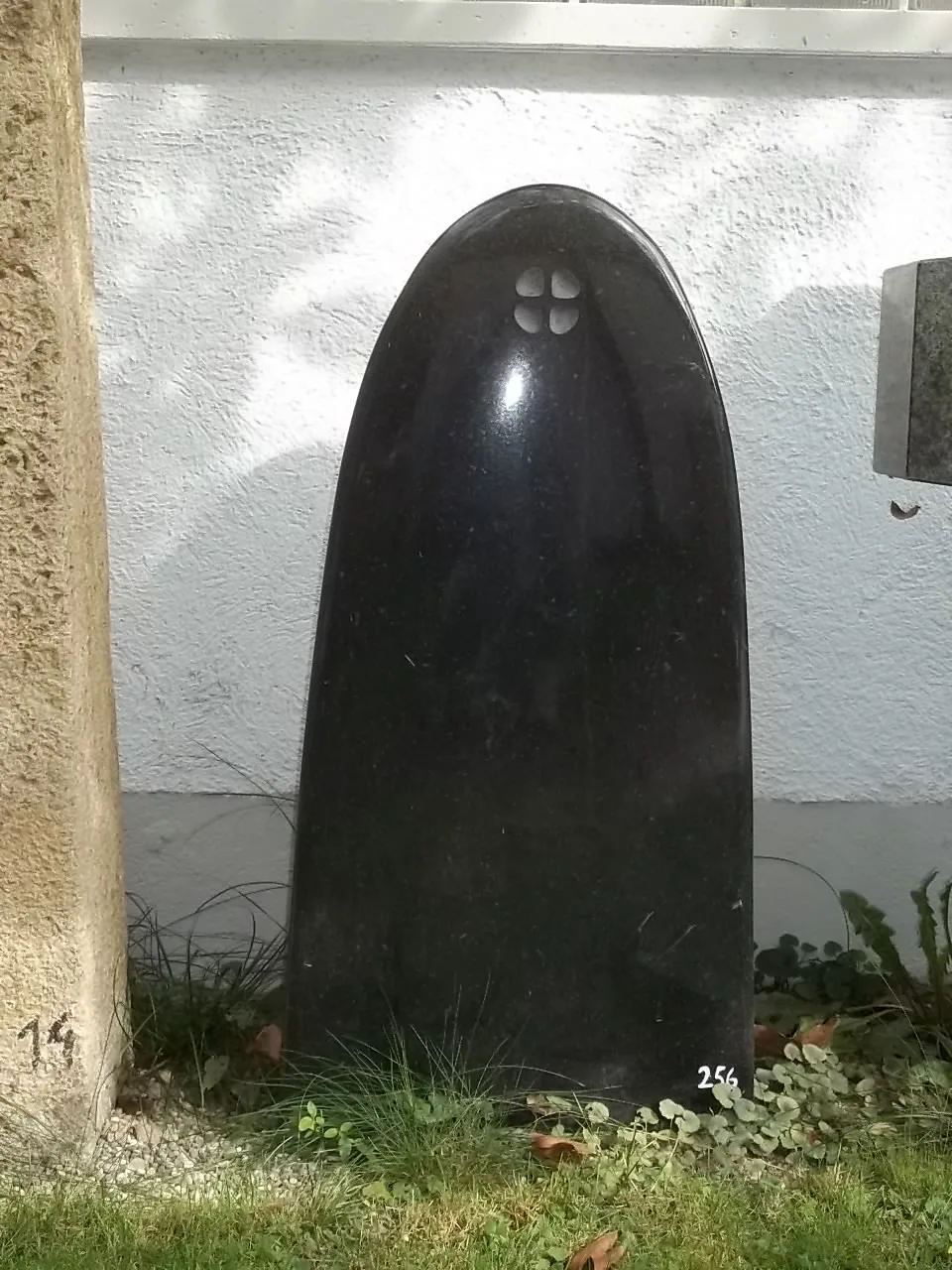 256