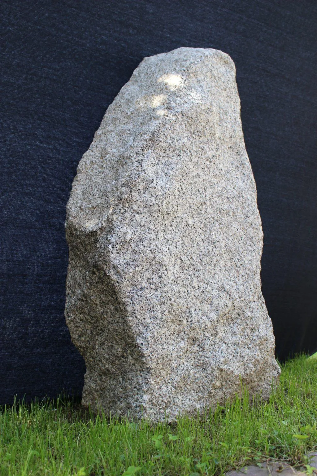 Nr 445 2 1024x1536