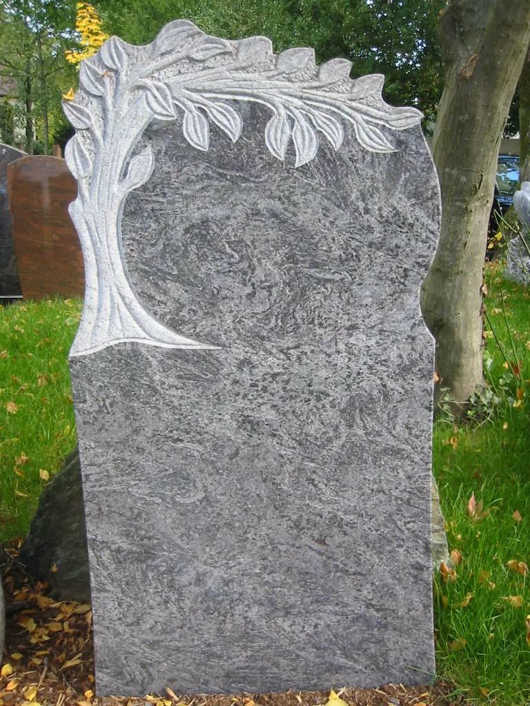 Nr 427