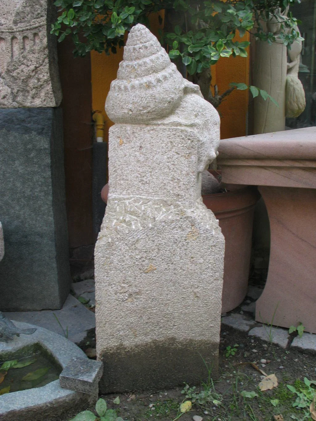 764 muschelkalk 1024x1365