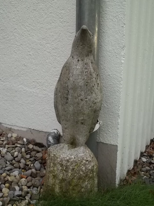 Pinguin