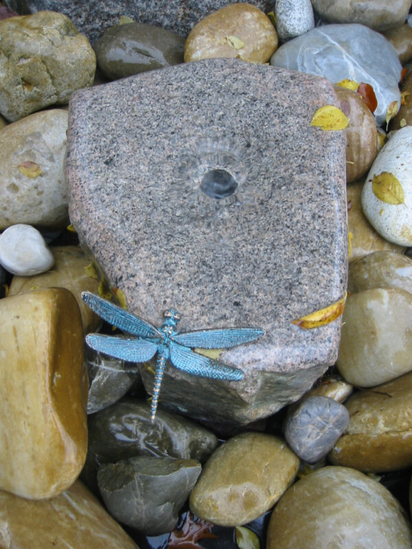 Quellsteinbrunnen m.Libelle